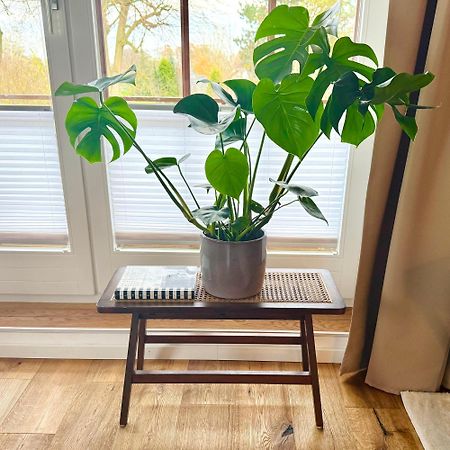 Happy Place Mit Sonnen-Balkon Und Stellplatz Nur 400 M Zum Strand شاربوتس المظهر الخارجي الصورة